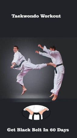 Taekwondo Workout At Home v 1.67 Mod (Premium)