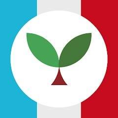 Learn French with Seedlang v 1.8.4 Mod (Unlocked)