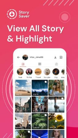 Story Saver v 2.5.3 Mod (Pro)